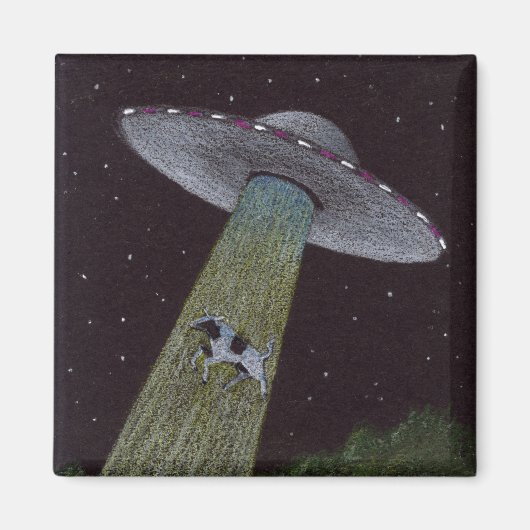 Alien Abduction Magneet (Voorkant)