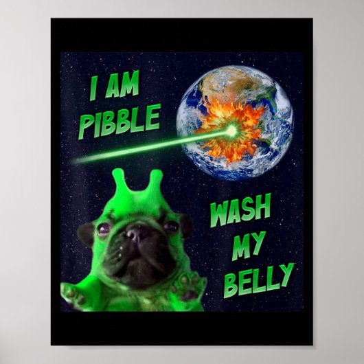 Alien Bble Funny Brainrot Dog Meme Space I Am Bble Poster (Voorkant)