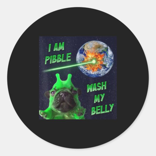 Alien Bble Funny Brainrot Dog Meme Space I Am Bble Ronde Sticker (Voorkant)