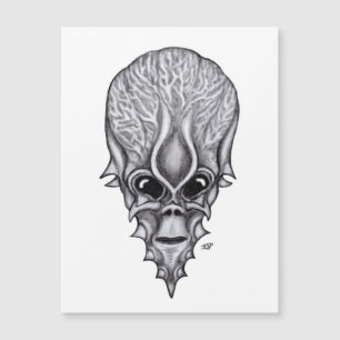 Alien Face , Afrikaanse schedelwederopbouw