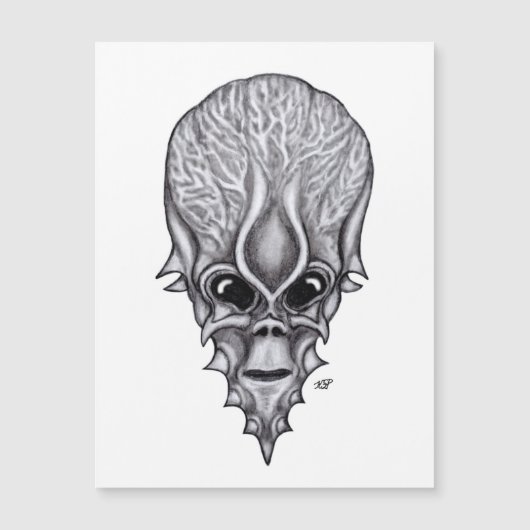 Alien Face , Afrikaanse schedelwederopbouw (Voorkant)