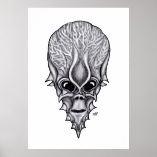 Alien Face , Afrikaanse schedelwederopbouw Poster