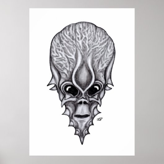 Alien Face , Afrikaanse schedelwederopbouw Poster (Voorkant)