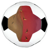 Alien Flight (Tourné)