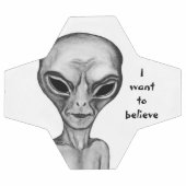 Alien gris, je veux croire (Plat)