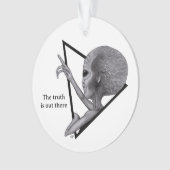 Alien gris, la vérité est là (devant)