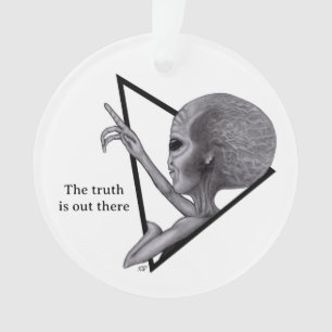 Alien gris, la vérité est là