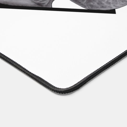 Alien gris, la vérité est là (Coin)