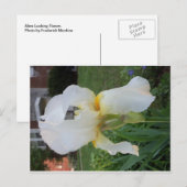 Alien-look-ventilator Briefkaart (Voorkant / Achterkant)