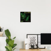 ALIEN Niemand kan je horen schreeuwen Poster (Thuiskantoor)
