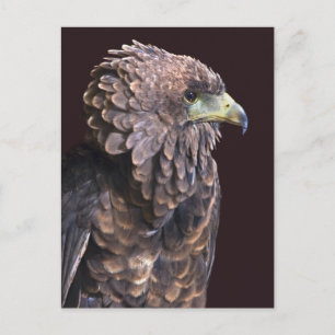 Alien Queen Briefkaart