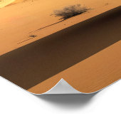 Alien Relics in the Desert Poster (Hoek)