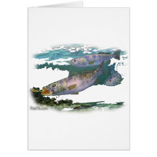 Alimentation de truite tachetée