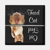 Alimentation Fed Cat Magnet Fun Cute