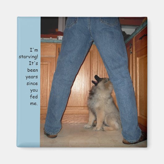 Alimenter le aimant du chien affamé (Devant)