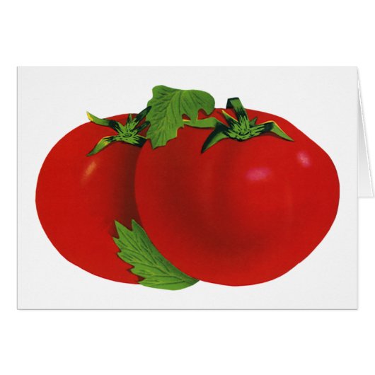 Aliments Anciens, Tomate Rouge Mûre Héritée Biolog (Devant horizontal)