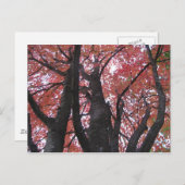 Ali's Perspectief Briefkaart (Voorkant / Achterkant)