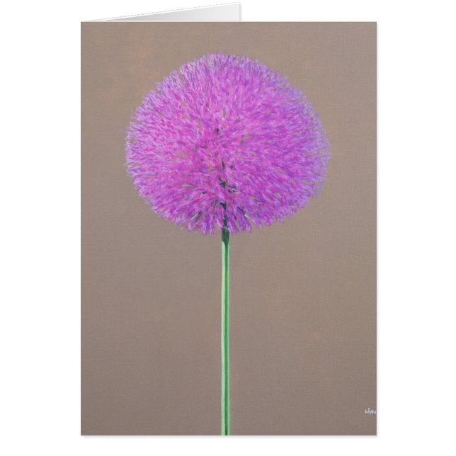 Alium (Voorkant)