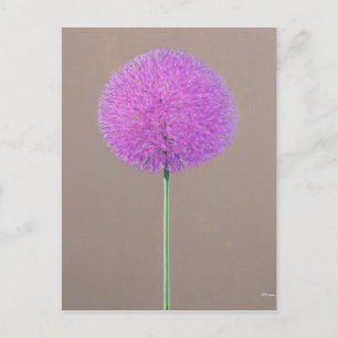 Alium Briefkaart