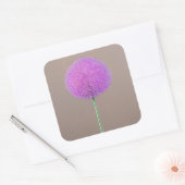 Alium Vierkante Sticker (Envelop)