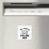 ALL I HATE IS PULLING OUT MAGNEET (Insitu (Vaatwasser))