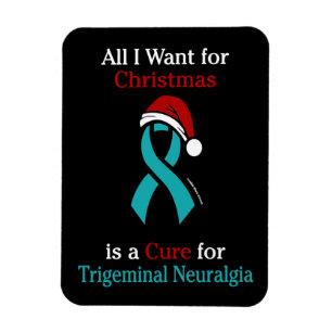All I Want for Christmas/Het...TN Magneet