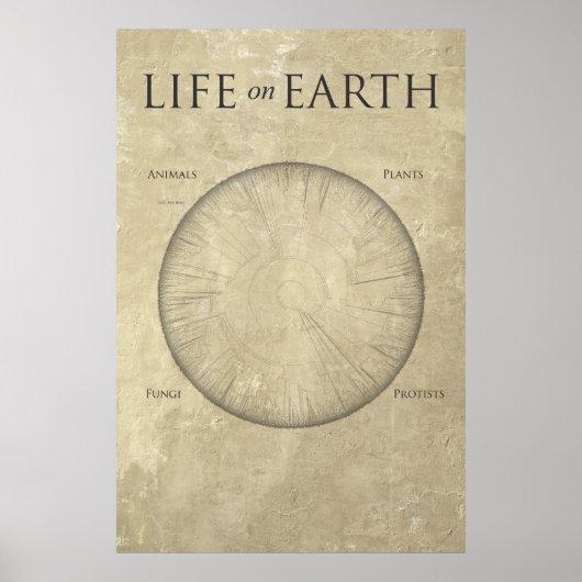 All Life on Earth, cartographié sur une affiche gé (Devant)