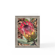 All-Occasion Note Card met prachtige Protea