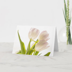 All-Occasion White Tulips-kaart Kaart