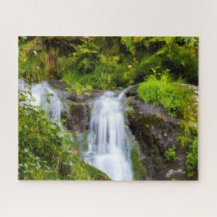 All Saints Waterval Zwarte Woud Duitsland. Legpuzzel