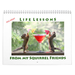 All Star Squirrel Calendar - New Life Lessons Kalender
