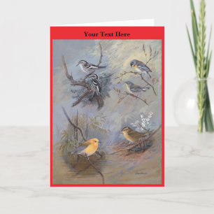 Allan Brooks Birds no2 Bedankkaart