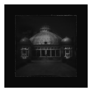 Allan Gardens Conservatory Palm House 7 Border Foto Afdruk