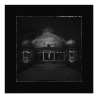 Allan Gardens Conservatory Palm House 7 Border Foto Afdruk