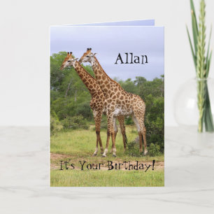 Allan "Go Wild" Joyeuse carte Giraffes d'anniversa