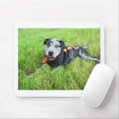 alldogscatch muismat (Met muis)
