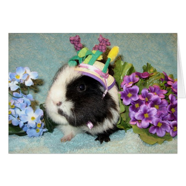 Alle afdrukken (Voorkant Horizontaal)