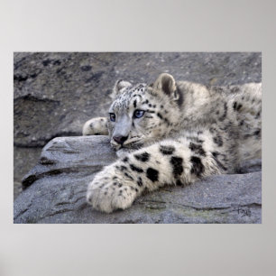 Alle afgespeelde afdrukken poster