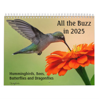 Alle Buzz 2025 Kalender