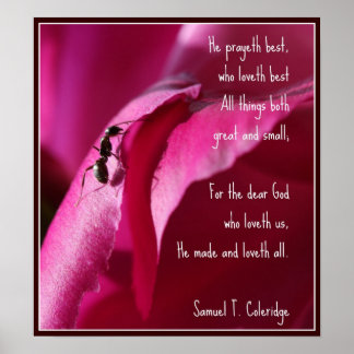 Alle creaties geweldig en klein poster