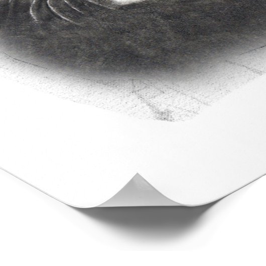 ALLE CREATUREN GROOT EN KLEIN: PENCIL TEKST POSTER (Hoek)