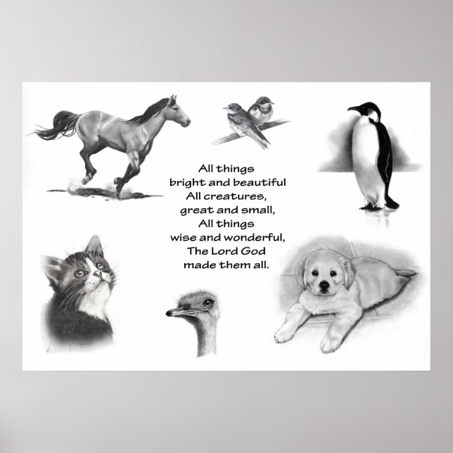 ALLE CREATUREN GROOT EN KLEIN: PENCIL TEKST POSTER (Voorkant)