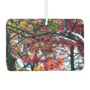 Alle Dingen Helder en Mooi Auto Luchtverfrisser