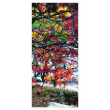 Alle dingen helder en mooi Bladwijzer