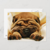 Alle gekreukeld briefkaart (Voorkant / Achterkant)