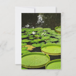 Alle Gelegenheid Kaarten