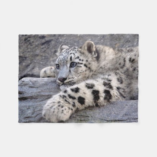 Alle geplaveide fleece Blanket (Voorkant (Horizontaal))