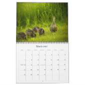 Alle groene agenda 2011 kalender (Mar 2027)