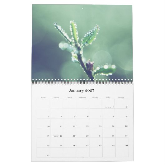 Alle groene agenda 2011 kalender (Jan 2027)