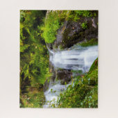 Alle heiligen Waterfall Black Forest Duitsland. Ji Legpuzzel (Verticaal)